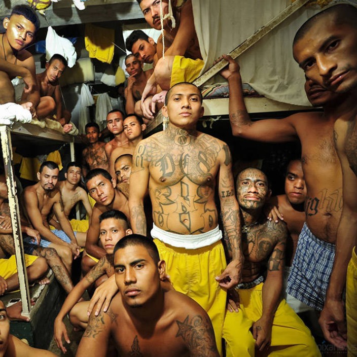 serhiofernandez.linea.eth Linea Name Service (.linea.eth domains) based on ENS PFP