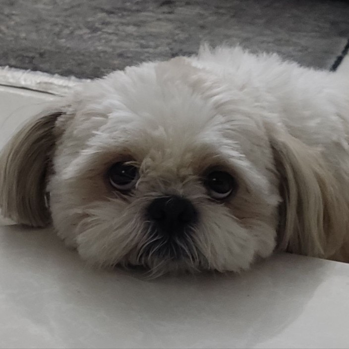 shadowf1371.eth Ethereum Name Service (ENS and .eth domain) PFP