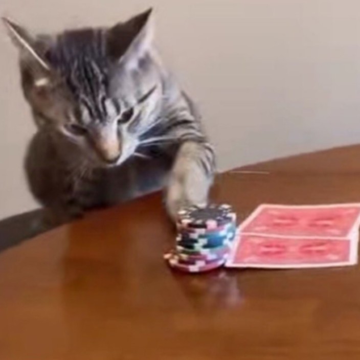 shadowpaws.eth Ethereum Name Service (ENS and .eth domain) PFP