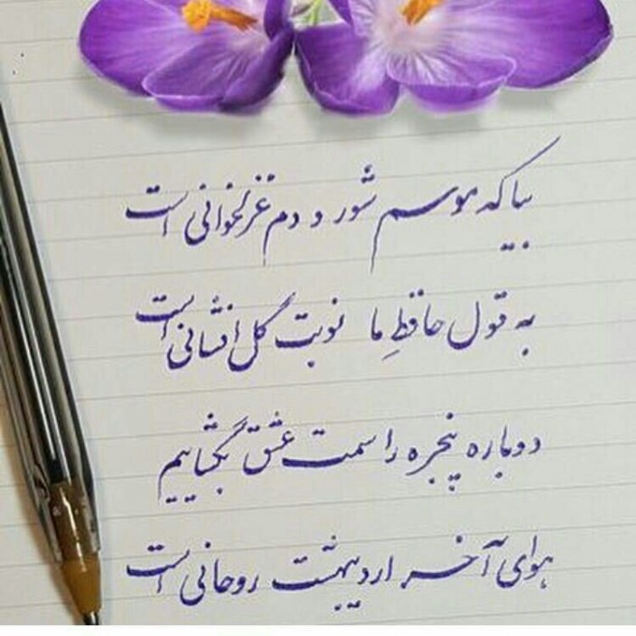 shahramsheiban.eth Ethereum Name Service (ENS and .eth domain) PFP