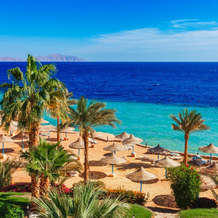 sharmelsheikh.eth Ethereum Name Service (ENS and .eth domain) PFP