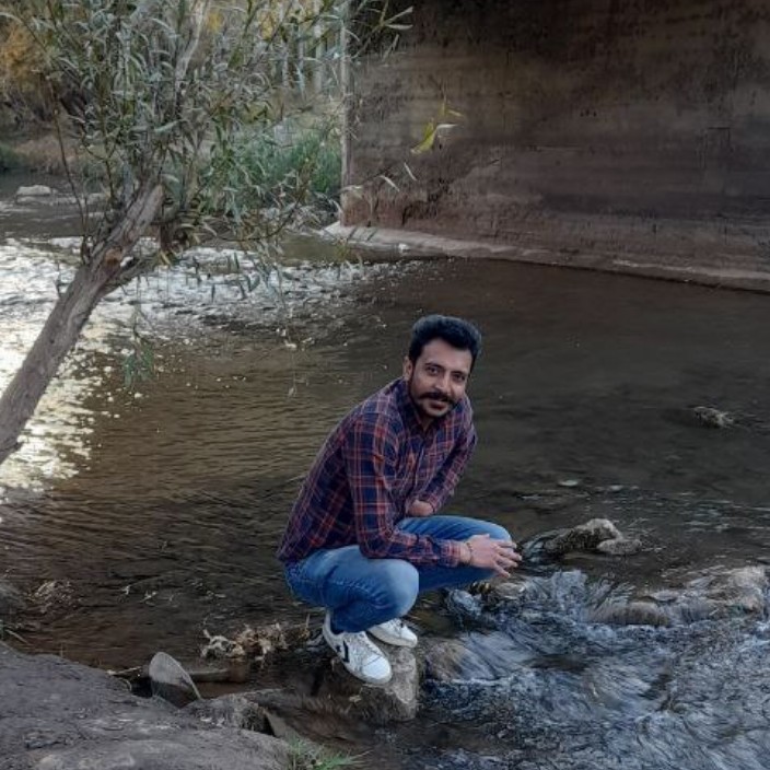 Hamed Sheibani (sheiban.eth) Ethereum Name Service (ENS and .eth domain) PFP