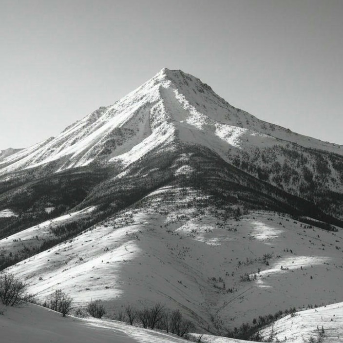 sherparesearch.eth Ethereum Name Service (ENS and .eth domain) PFP