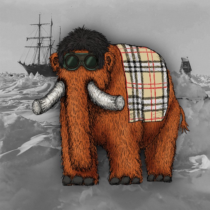 shikaeth.eth Ethereum Name Service (ENS and .eth domain) PFP