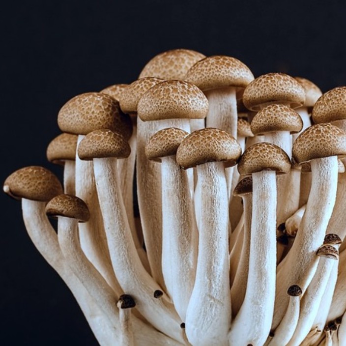 shimeji.eth Ethereum Name Service (ENS and .eth domain) PFP