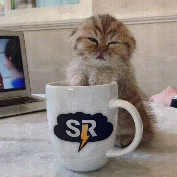 si1verra1n.eth Ethereum Name Service (ENS and .eth domain) PFP