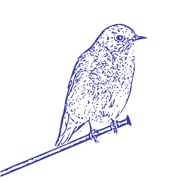 sialia.eth Ethereum Name Service (ENS and .eth domain) PFP