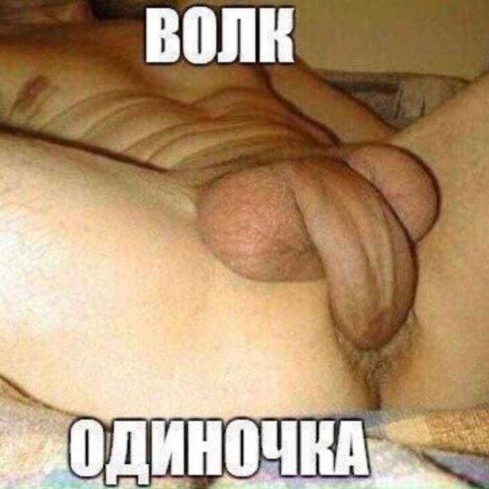 sidorovich.eth Ethereum Name Service (ENS and .eth domain) PFP