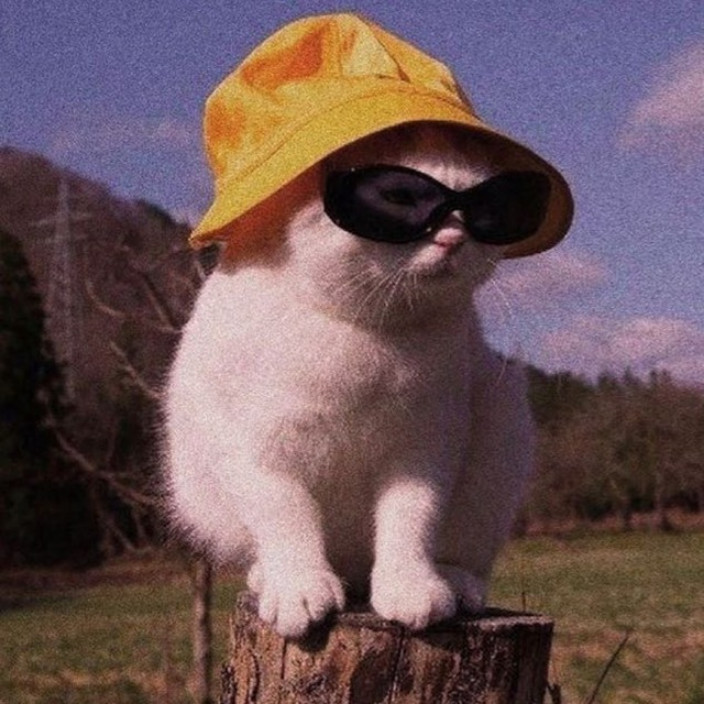 siega.eth Ethereum Name Service (ENS and .eth domain) PFP