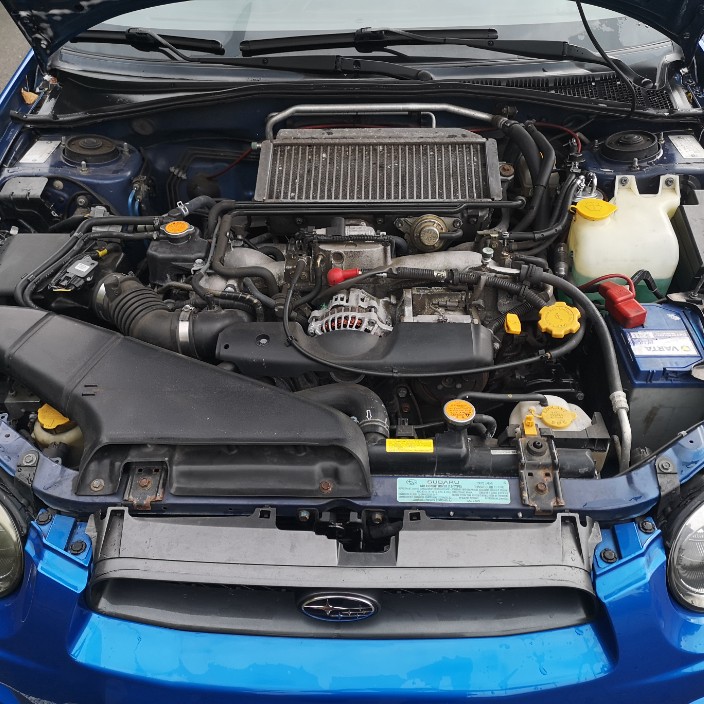 siggmund.eth Ethereum Name Service (ENS and .eth domain) PFP