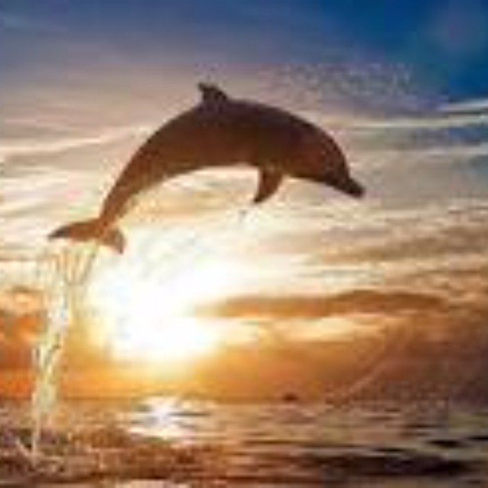 sioii.eth Ethereum Name Service (ENS and .eth domain) PFP