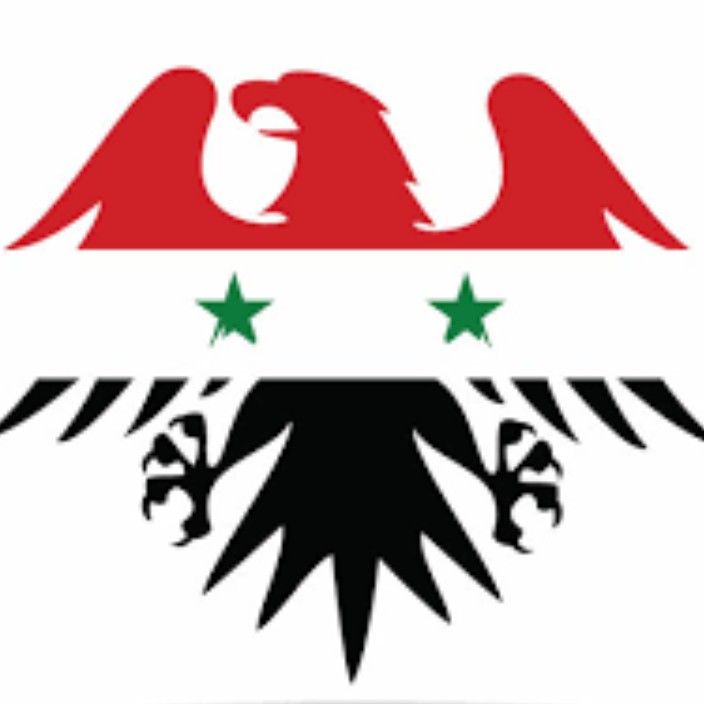siria.eth Ethereum Name Service (ENS and .eth domain) PFP