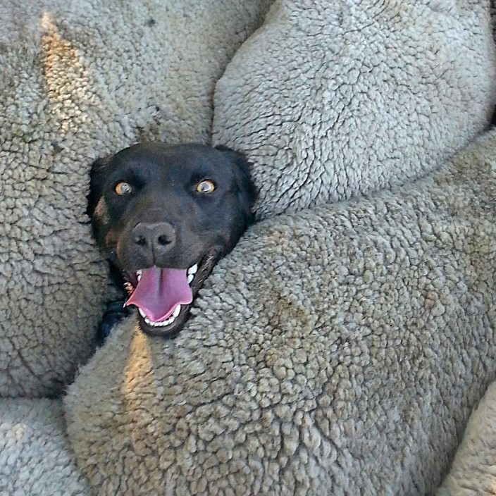 updotor.lens Lens social identity (.lens handle) PFP