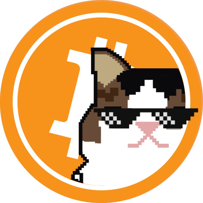 slash10x.eth Ethereum Name Service (ENS and .eth domain) PFP