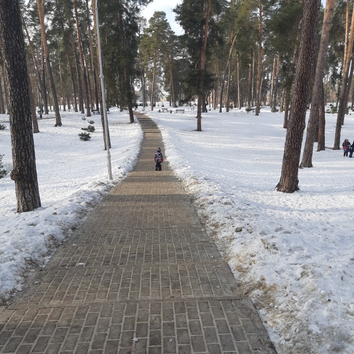 slesse.eth Ethereum Name Service (ENS and .eth domain) PFP