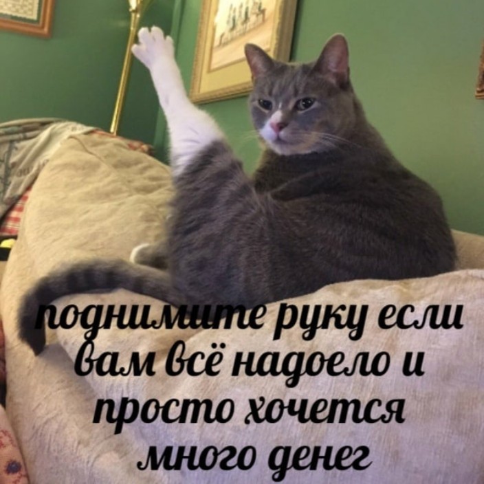 Owens (owenstt.lens) Lens social identity (.lens handle) PFP