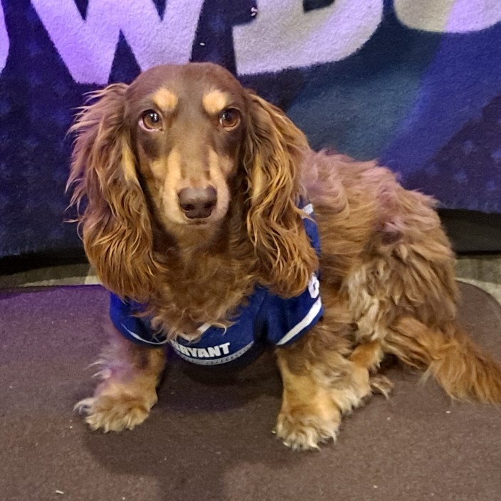 sluna13.eth Ethereum Name Service (ENS and .eth domain) PFP