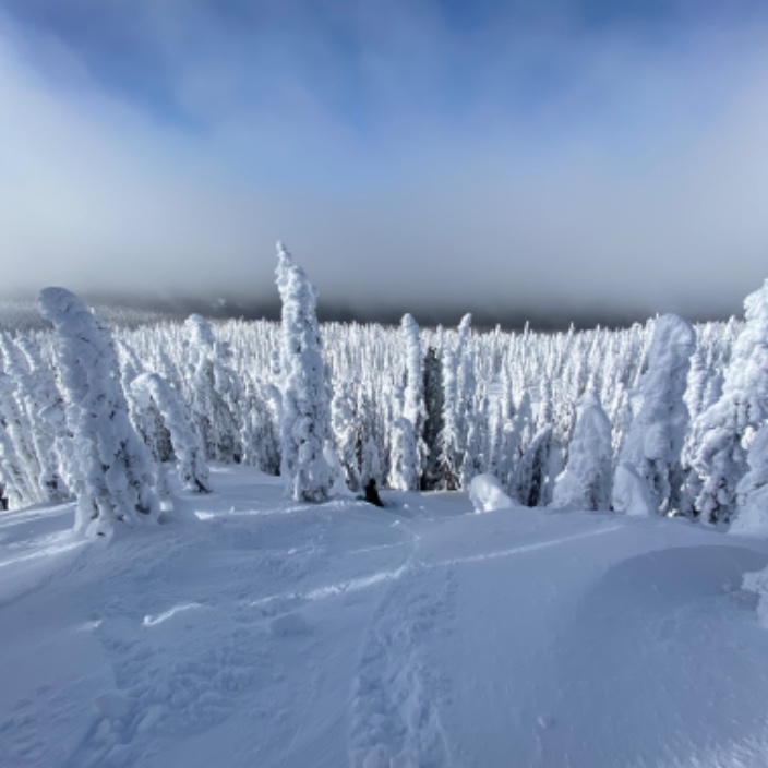 slvbck.eth Ethereum Name Service (ENS and .eth domain) PFP