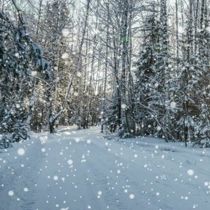 snowing.eth Ethereum Name Service (ENS and .eth domain) PFP