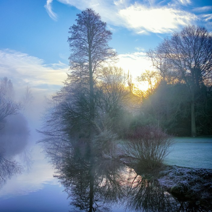 soika.eth Ethereum Name Service (ENS and .eth domain) PFP