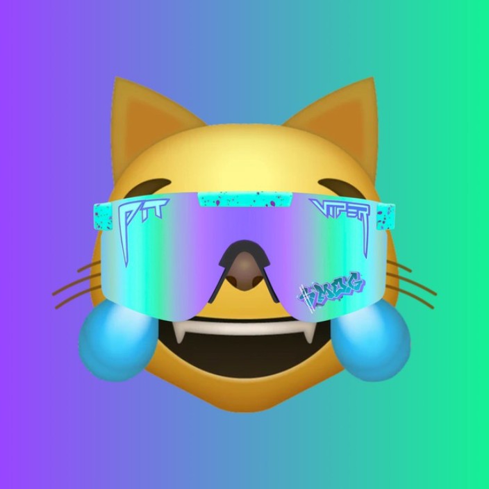 solanashidder.eth Ethereum Name Service (ENS and .eth domain) PFP