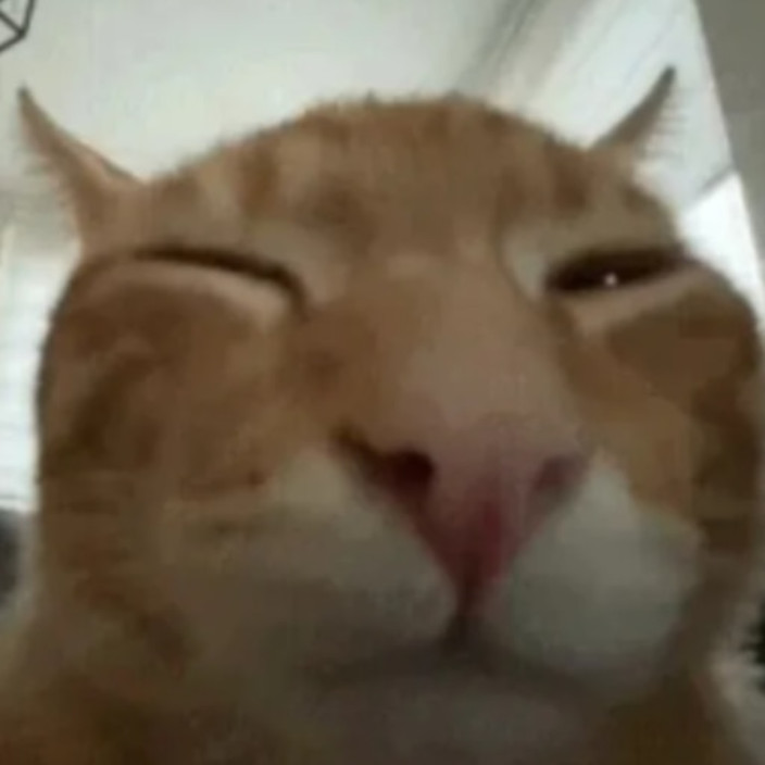 solo1g.eth Ethereum Name Service (ENS and .eth domain) PFP