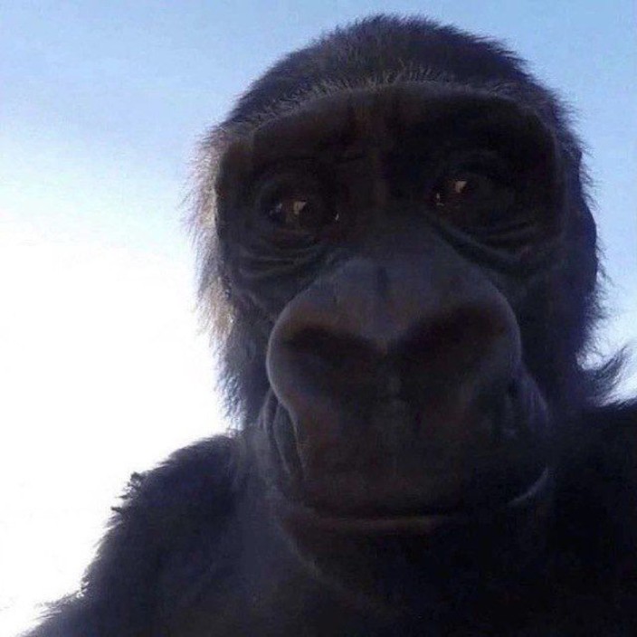 sosaldo.eth Ethereum Name Service (ENS and .eth domain) PFP