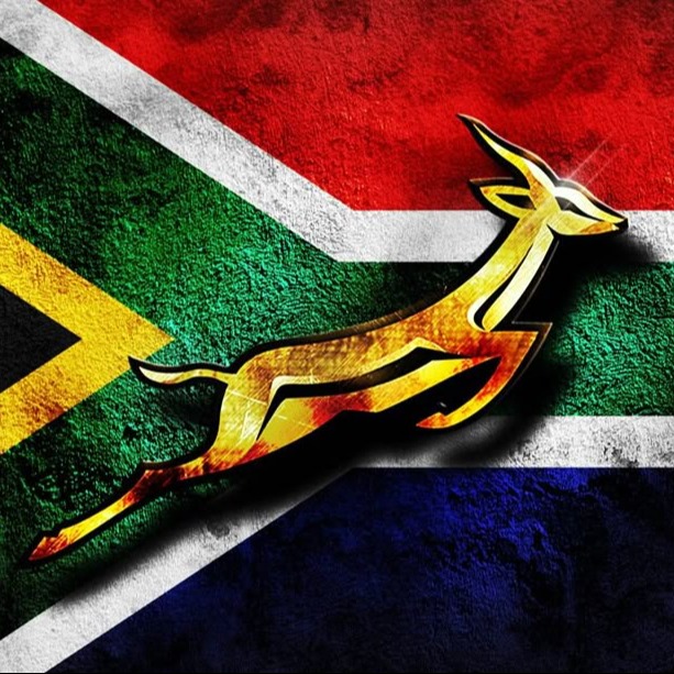 southafrican.eth Ethereum Name Service (ENS and .eth domain) PFP