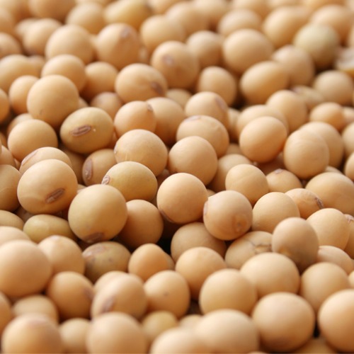 soybeans.eth Ethereum Name Service (ENS and .eth domain) PFP