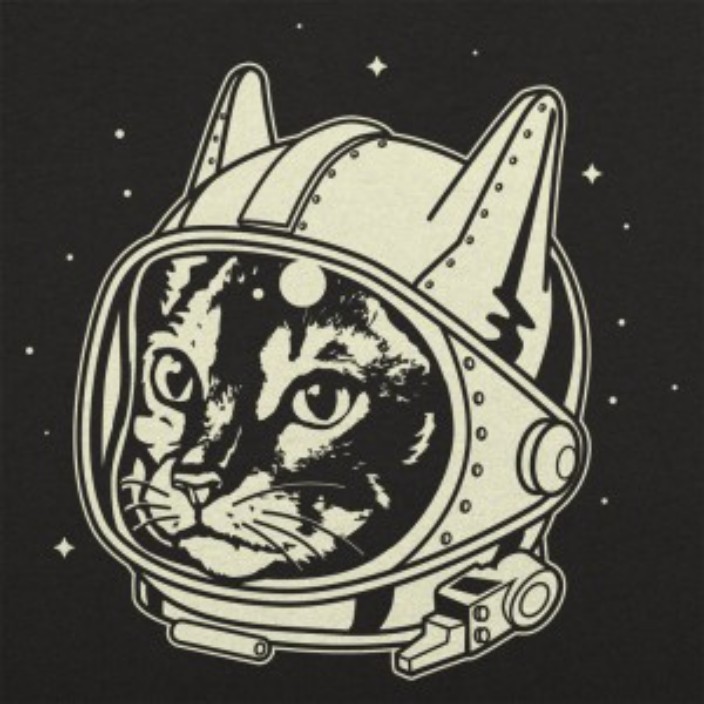 spacepassenger.eth Ethereum Name Service (ENS and .eth domain) PFP