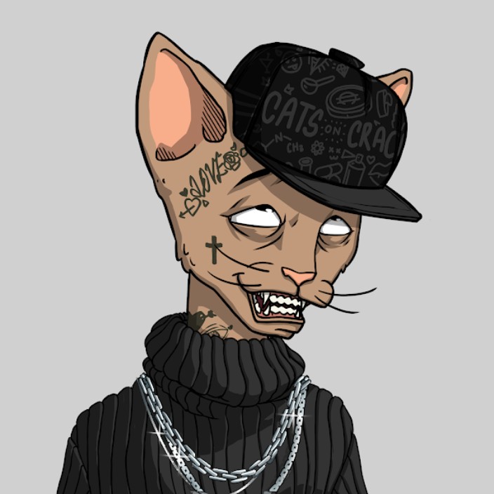 spany.eth Ethereum Name Service (ENS and .eth domain) PFP