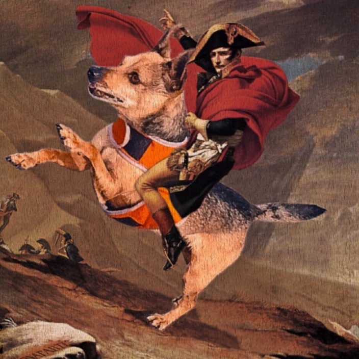 sparkle-pony.eth Ethereum Name Service (ENS and .eth domain) PFP