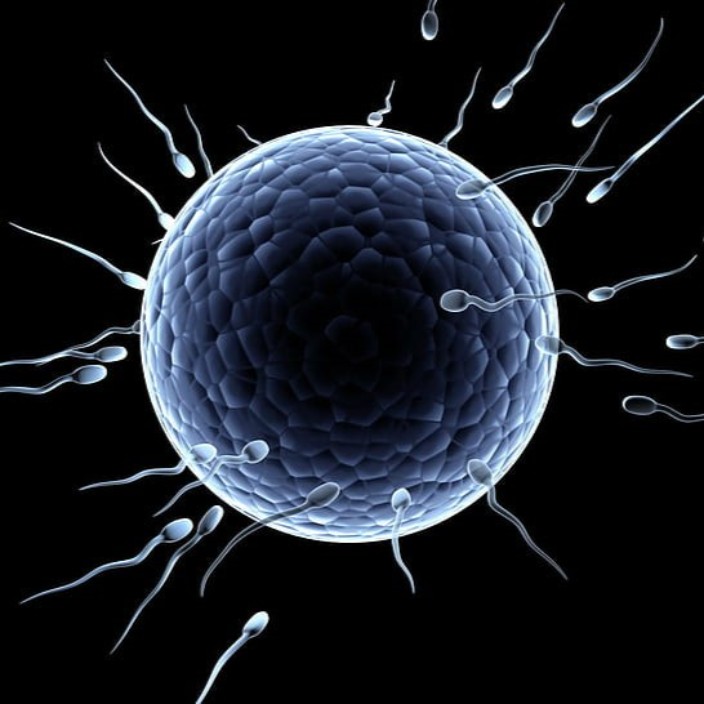 sperms.eth Ethereum Name Service (ENS and .eth domain) PFP