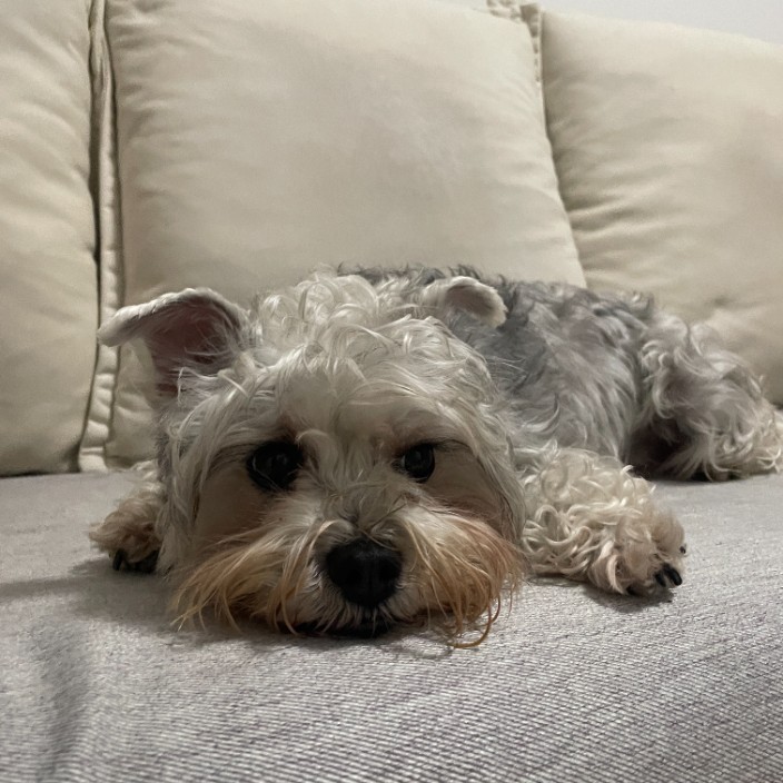 ssillage.eth Ethereum Name Service (ENS and .eth domain) PFP