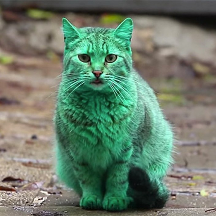 stamen.eth Ethereum Name Service (ENS and .eth domain) PFP