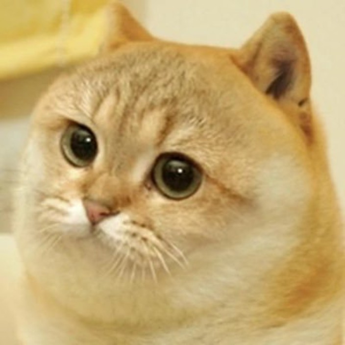 starbluesea.eth Ethereum Name Service (ENS and .eth domain) PFP