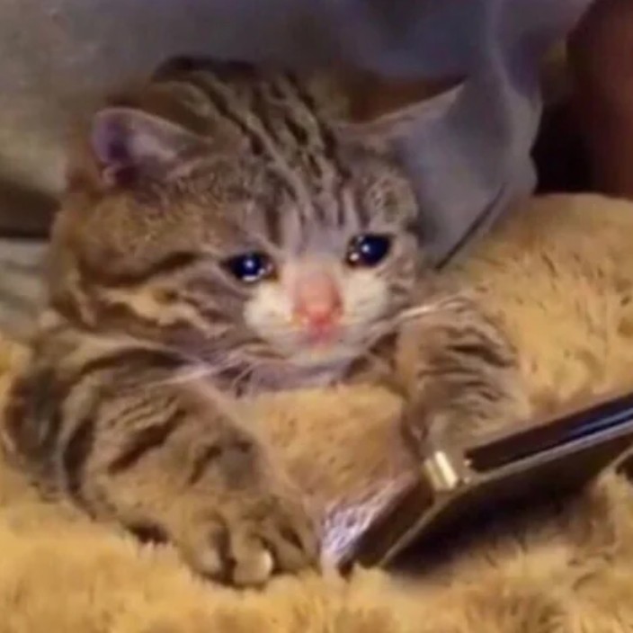 statz.eth Ethereum Name Service (ENS and .eth domain) PFP