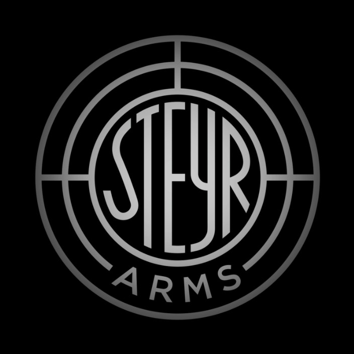 steyr.eth Ethereum Name Service (ENS and .eth domain) PFP