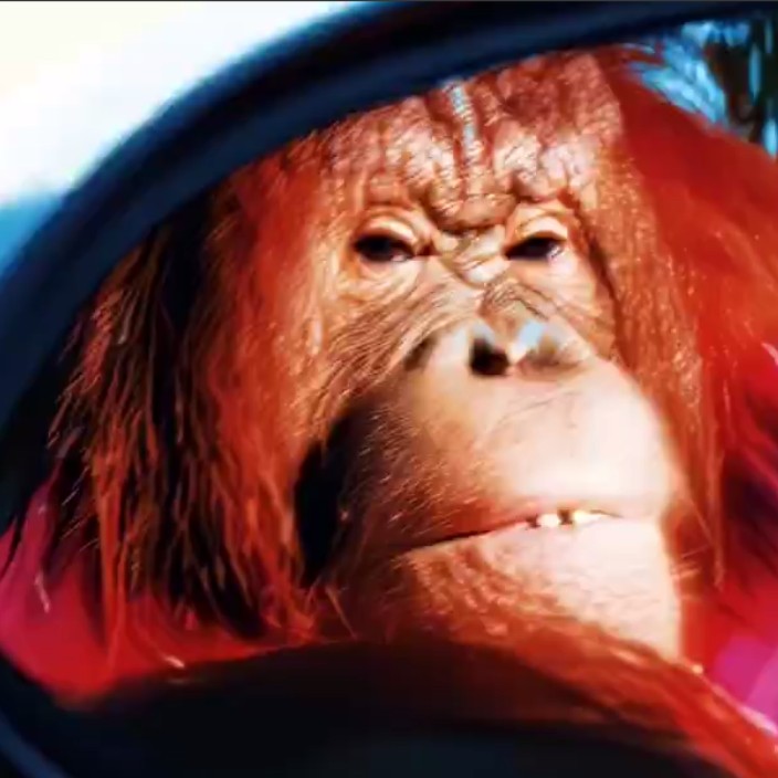 stinelund.eth Ethereum Name Service (ENS and .eth domain) PFP