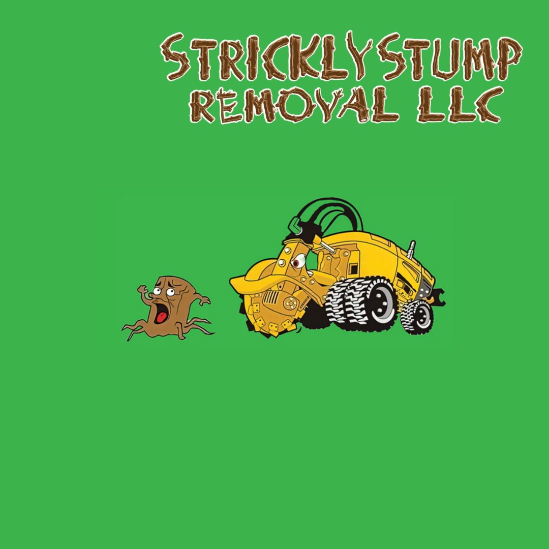 stumps123.eth Ethereum Name Service (ENS and .eth domain) PFP