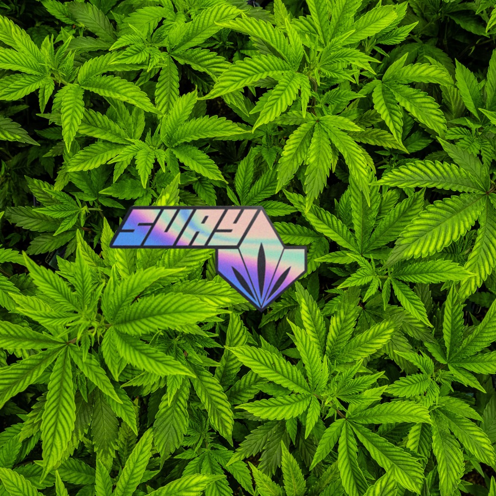 suaybc.eth Ethereum Name Service (ENS and .eth domain) PFP