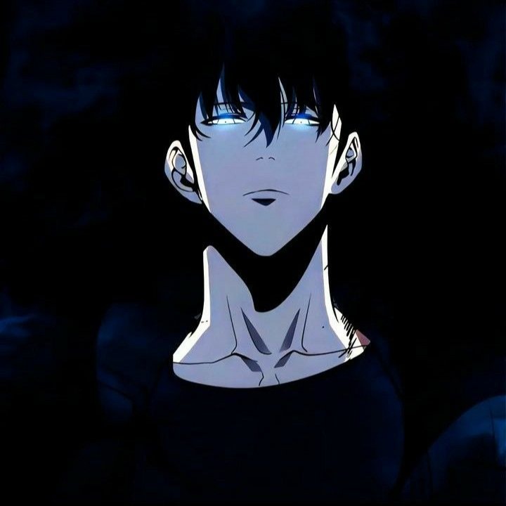 sungjin-woo.eth Ethereum Name Service (ENS and .eth domain) PFP