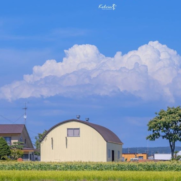 90779.linea.eth Linea Name Service (.linea.eth domains) based on ENS PFP