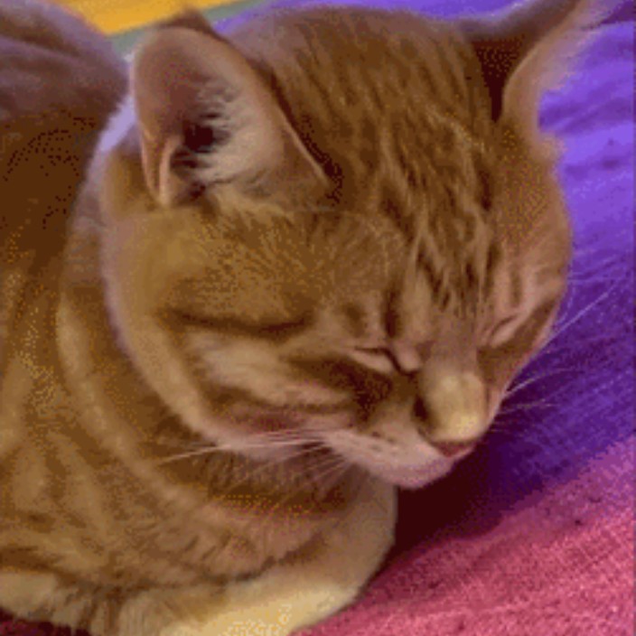 svenshi.eth Ethereum Name Service (ENS and .eth domain) PFP