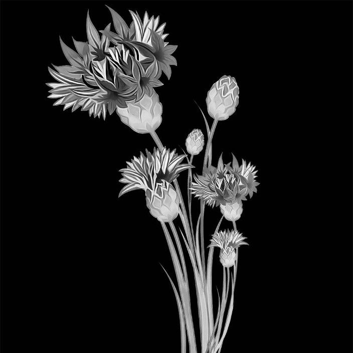 svetlanka06.eth Ethereum Name Service (ENS and .eth domain) PFP