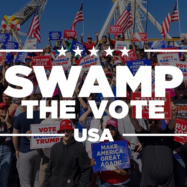 swampthevote.eth Ethereum Name Service (ENS and .eth domain) PFP