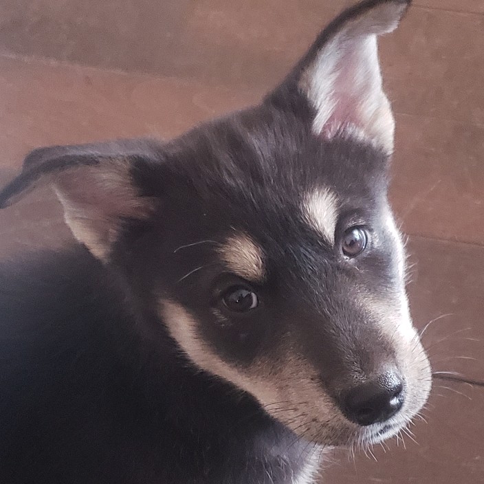 sweatyfi.eth Ethereum Name Service (ENS and .eth domain) PFP