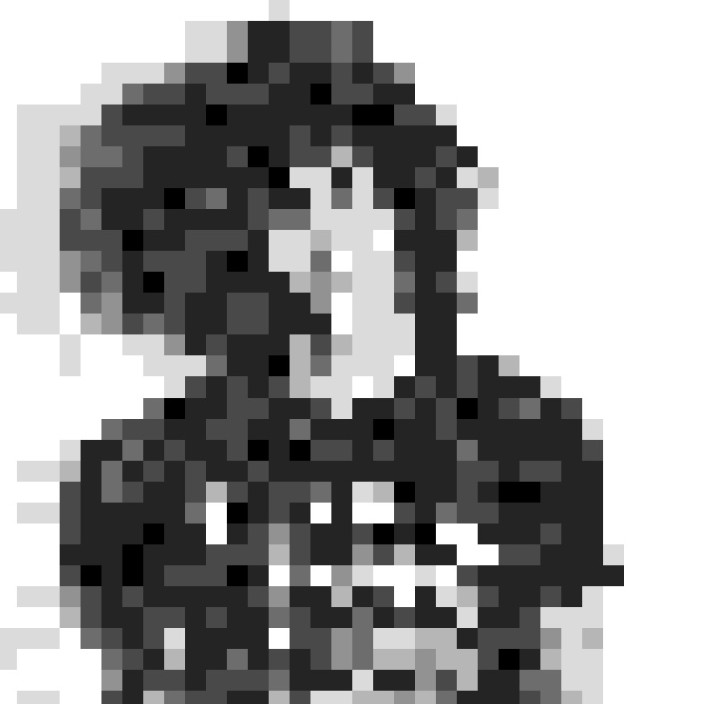 swiftytoad.eth Ethereum Name Service (ENS and .eth domain) PFP