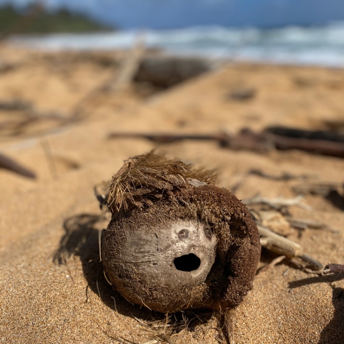 swingtradered.eth Ethereum Name Service (ENS and .eth domain) PFP