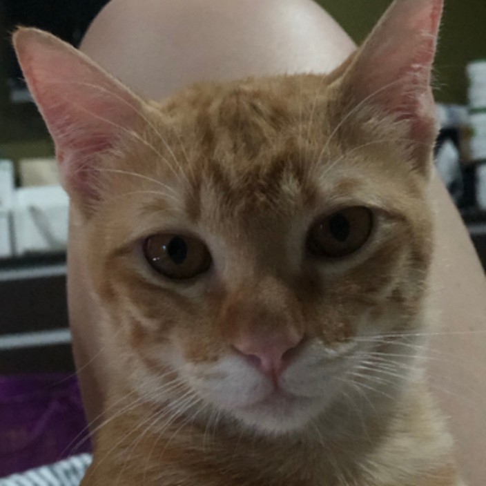 tbno1.eth Ethereum Name Service (ENS and .eth domain) PFP